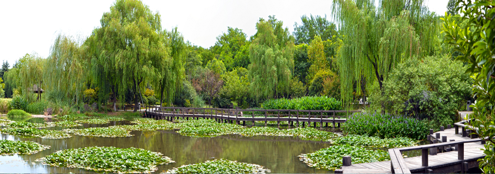 url(http://www.56zx.com.cn/theme/TP000163/pic/banner4.jpg)